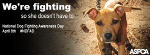 Facebook-Cover-ASPCA-NDFAD