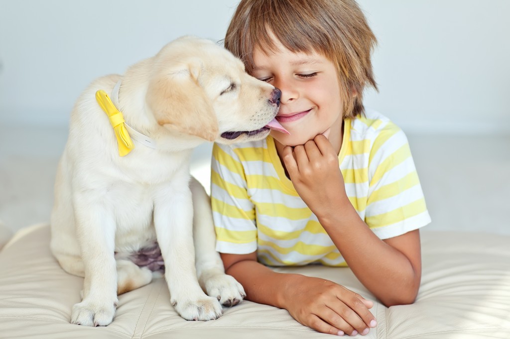 Happy kid with a dog at home